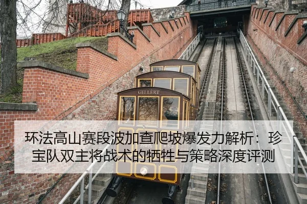 环法高山赛段波加查爬坡爆发力解析：珍宝队双主将战术的牺牲与策略深度评测